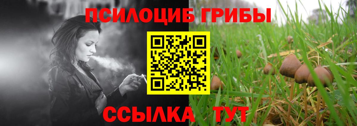 Галлюциногенные грибы прущие грибы Дубна